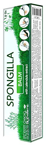Georg BioSystems Bodyaga Balm with Horse Chestnut & Calendula – Soothing Leg Cream with Spongilla Extract – Cooling Menthol Formula for Tired Legs & Skin Texture Improvement – 1.76 oz (50g) (1 Pack)