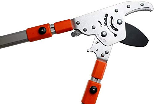 Garden Factory – Coupe-Branches à Crémaillère Ultra Puissant | Manches Télescopiques 60-108 cm | Lame SK5 Revêtement Téflon | Coupe Facile & Précise Jusqu'à 5 cm | Élagage & Jardinage Professionnel