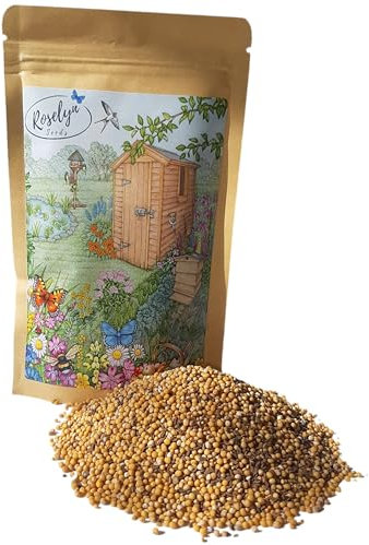 Roselyn Seeds Soil Improver - Fast Growing Cover Crop & Green Manure Mix Boosts Nitrogen & Soil Health | Ideal for Vegetable Patch or Allotment | Mustard, Crimson Clover & Phacelia | 100 g - 20 m²