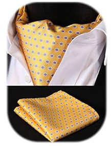 HISDERN Herren Paisley Floral Jacquard gewebt Cravat Ascot & Taschentuch Set