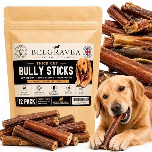 Bully Sticks for Dogs (10 Pack, 12cm) – Long Lasting Dog Chew, 100% Natural Air-Dried Beef Pizzle Sticks for Dogs – High Protein, Low Odour Dog Chews for Medium Dogs