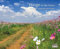 DUMONT Wege in die Natur Wandkalender 2024, im Format Wandkalender 52 x 42,5 cm, Monatskalender, Kalender mit Naturfotografien