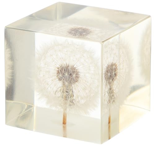 ARTIBETTER Real Dandelion Specimen Crystal Clear Resin Cube - 2 3D Preserved Dandelions Puff Paperweight with Wooden Box, Natural Dandelion Decor for Home Office,Teacher Dad,Mom,Wedding Valentine's