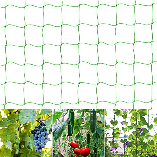 Filet de Jardin pour Plantes grimpantes, Filet à Plantes Grimpantes, Filet de Fixation pour Plantes Grimpantes, Treillis Jardin Filet, pour légumes, Fruits, Fleurs - 2 x 3 m