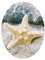 WANDKINGS WC Sticker Starfish Deckel Aufkleber 30 x 40 cm