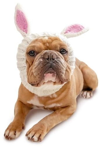 Zoo Snoods Bunny Costume - Knit Easter Dog Snood Ear Wrap for Pets, Warm Neck Cover for Halloween and Winter (Medium)