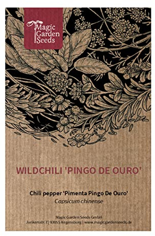 Vild chili 'Pingo De Ouro' (Capsicum chinense) - ca 5 tillsammans