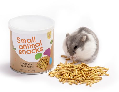 Niteangel Small Animal Snack & Treats Toy - Small Critter Natural Treat for Dwarf Syrian Robo Hamsters Gerbils Mice Lemmings Sugar Glider Hedgehogs Chickens Birds or Other Small-Sized Pets
