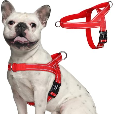 rabbitgoo Dog Harness No Pull, Quick Fit for Medium Sized Dog, Reflective
