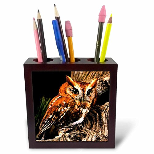3dRose LLC Owl 5-Inch Tile Pen Holder