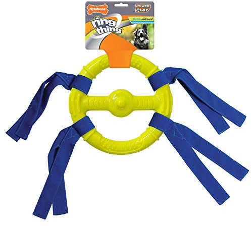 Nylabone Power Play Ring Thing schwimmfähiges Hundespielzeug Ring Thing Medium (1 Stück)