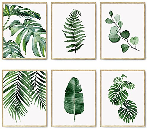 HoozGee Mur Botanique Vert Impression Artistique Lot de 6 Impression Sur Toile Estampes Botaniques Décor à la Maison Naturel Affiches d'art de Salle de Bain 11x14 (27.9x35.6cm) SANS CADRE