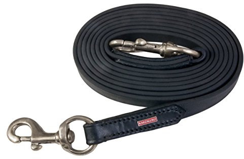 Karlslund BioThane-Zügel mit Schnallen, Schwarz, chrom