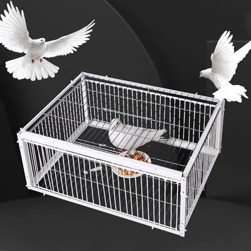 Cage piège à poulets et oiseaux, cage piège à animaux vivants sans cruauté avec porte d'entrée unidirectionnelle, piège à pigeons de contrôle en métal avec conception anti-fuite, assemblage facile