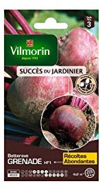 Vilmorin - Sachet graines Betterave Grenade HF1