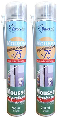 DSTOCK60 - LOT DE 2 MOUSSES EXPANSIVES MANUELLES 750ML - MOUSSE POLYURETHANE PROFESSIONNELLE - ISOLE, COLLE, REBOUCHE - EXTERIEUR ET INTERIEUR