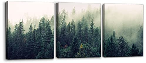 Pacimo Canvas Print Wall Art Set Aerial View of Pine Trees in Mist Nature Wilderness Photography Realism Rustic Scenic Modern Artwork Decor Stretch and Framed Ready to Hang - 12x16x3 Panels