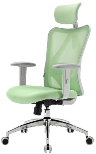 SIHOO M18 Bürostuhl ergonomisch, Computer-Schreibtisch Stuhl mit Verstellbarer Kopfstütze und Lendenwirbelstütze, hohe zurück Executive Drehstuhl für Home Office (Hellgrün)