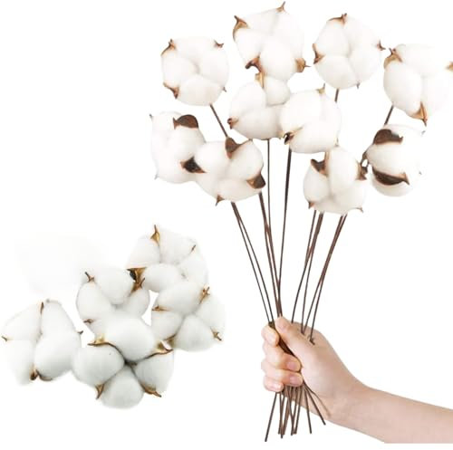 10 Fiori di Cotone Secco Naturale +5 Teste Decorative - Kit Creativo per Decorazione Casa/Balcone | Piante Finte Secche per Tavolo Composizione Floreale, Décoro Ecologico