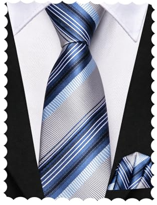 Hi-Tie Set di cravatte per ragazzi da 8 a 10 cravatte in seta per bambini da 8 a 11 anni, cravatta e tasca quadrata per matrimonio, Blu argento