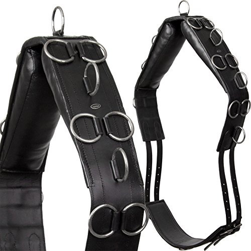 Heinick-Reitsport Qualitäts Leder Longiergurt 20 Ringe Warmblut Vollblut ~ Schwarz