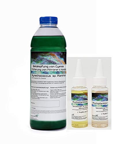 Plankton24 Approccio di allevamento - 1 litro di Synechococcus + 100 ml di fertilizzante