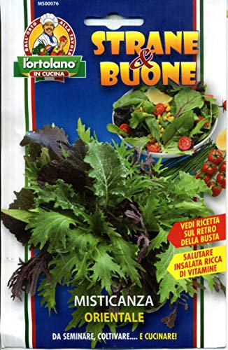 Ortolano Sementi per la produzione di una misticanza di lattughe orientali