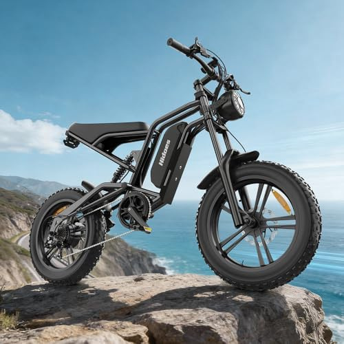 iENYRID Hidoes Electric Bicycle E Bike for Adults 20x4’‘ Fat Tire 7-Speed