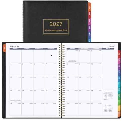 Appointment Book 2026-2027 - Daily Hourly Planner 2026-2027, Jul 2026 - Jun 2027, Appointment Book, 8.5 x 11, 26-27 Planners Weekly with 30-Minute Interval, Leather Cover, Colorful Tabs - Black
