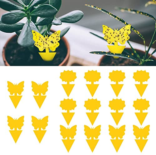 Attrape Mouche,Pièges à Insectes,Piège à Mouches Pièges à Insectes Collant Pièges Engluées à Fruits Contre Les Aleurodes Moustiques Pucerons Insectes des Plantes,16 pcs