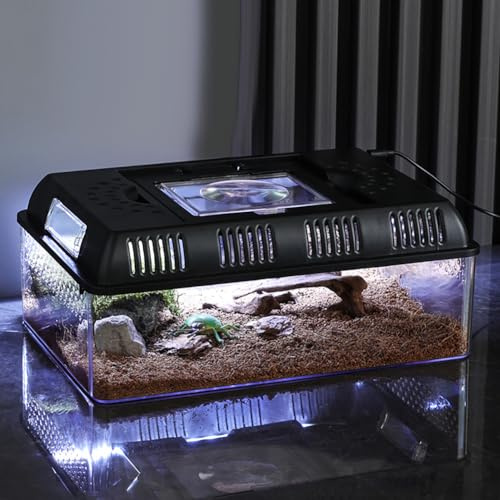 Zstar Depósito de Reptiles, Caja de alimentación para Reptiles con luz, función de Lupa Permite, recinto ventilado y Caja de cría para Insectos forrajeros Vivos, Reptiles y Anfibios