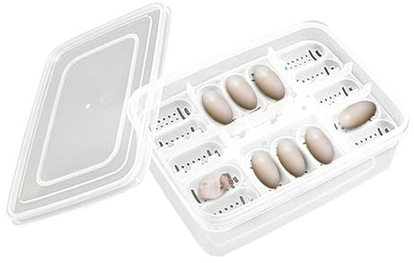 Brutkasten für Reptilien-Eier, Brut-Eierablagen für Reptilien | Transparenter Reptilien-Inkubator mit 16 Gittern | Brutkasten, Brutkasten, Brutkasten für Gecko, Löwenmähne