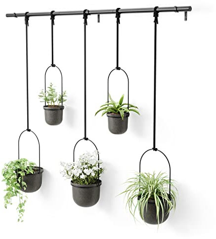 Umbra Triflora Ensemble de 5 pots suspendus, Ajustable Jardinière d'intérieure Suspendue avec Rails, Noir