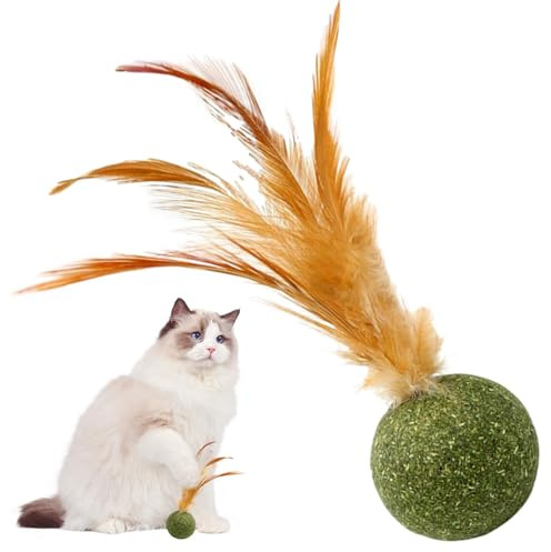 Catnip Chew Toys - Edible feathers Ball, Magic Kitten Treat | Safe Lickable Snack Ball For Teeth Cleaning, Healthy Indoor Cat Play And Interactive Fun For Kittens, Adult Feline Companions