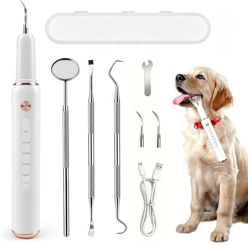 FIVAVA Pulizia Denti Cane, Pulizia Denti Tartaro per Cani e Gatti, Kit Pulizia Denti, 5 Modalità di Pulizia, Rimuove il Tartaro, Ricaricabile (Bianco)