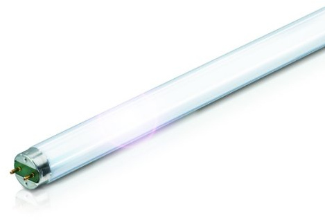 Philips - Lampara fluorescente TL-D, 30 Watt, Bombillas luce