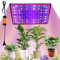 Lampadina Crescita Piante Indoor 250 LEDs 1000W Lampada per Piante LED Spettro Completo con 4 Gancio Lampada LED Coltivazione per Serra Piante Ortaggi Fiori (Rosso+Blu+Bianco, 250LEDs)