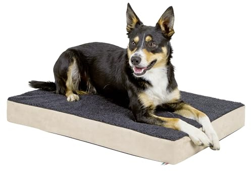 Kerbl Pet Matratze Memory-Foam, Hundekissen, Hundematratze, beige, anthrazit, 80x50x8cm, Polyester, Plüsch, orthopädisch, rutschfest, Bezug abnehmbar