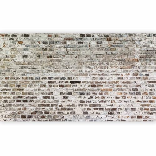 murando - Papier peint panoramique artistique 500x280 cm - Revêtement mural décoration chambre salon - Design moderne - Gris beige marron vert - Fond de texture de modèle de brique f-A-0457-a-a