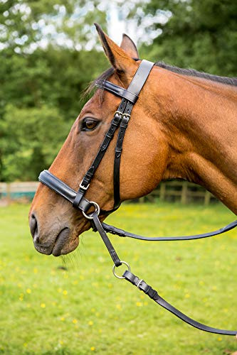 Easytrek Leather Bitless Bridles, Black or Brown (Pony (Small), Black)