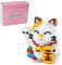 Larcele Mikro Katze Bausteine Spielzeug Bricks Tier Bauen Bauklötze,1163 Stücke KLJM-02 (Glücks Katze,Modell 4569)