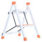 FLYIFE Tritthocker Zweistufige Tragbare Leiter, Trittleiter Mit Doppeltem Verwendungszweck, Schlafsaalleiter, Garage, Autowaschhocker, Fußschemel – Trittleiter/Orange/40 X 45 X 57Cm