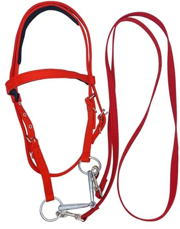 Bride à cheval - Bande nasale réglable souple avec rênes en nylon, durable occidental | Headstall équin confortable avec rênes en nylon pour la conduite, l'entraînement et les sports
