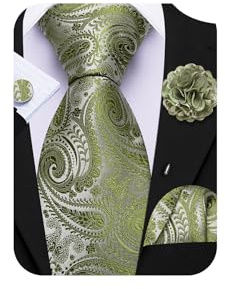 Barry.Wang Green Tie 63 Paisley Silk Ties Set Pocket Square Cufflinks and Lapel Pin Extra Long Necktie Wedding Party