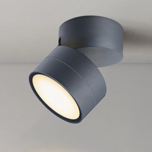 EBION GX53 Ceiling Light,90° Swivel Ceiling Spotlights,Anthracite,1 Pack | IP54 Surface Mounted Downlights for Ceiling,for Living Room,Bedroom,Bathroom,Hallway,Balcony,Aluminium,(Bulbs Not Included)