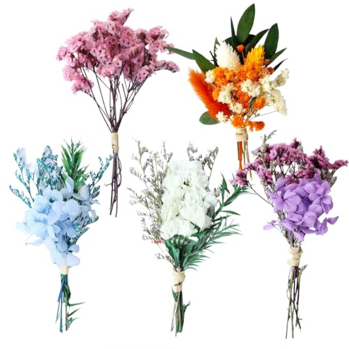 YUZNA 5 Ramos de Secas Naturales, Mini Ramo de Preservadas, Decoración para Manualidades, DIY Decoración del Hogar y Bodas, Flores Secas Decorativas con Paniculata para Marcos de Fotos (Estilo 1)