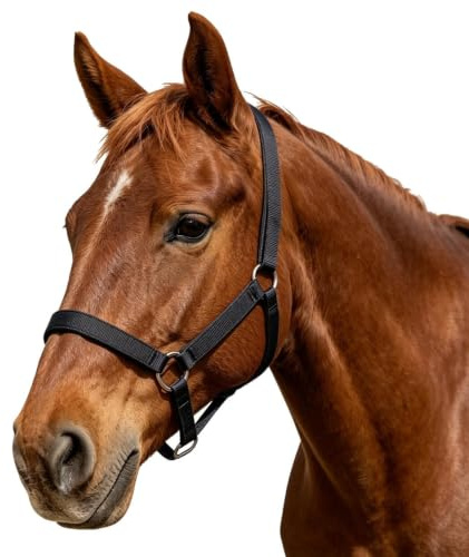 Generisch Horse Headcollar Adjustable Pasture and Horse Show Accessories