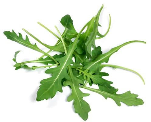 Semillas de Rúcula | Semillas Huerto Urbano | Muy Fácil Germinación | Haz Tus Propios Brotes de Rúcula en Casa