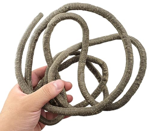 Qsvbeeqj Terrarium pour aquariums, reptiles, vigne grimpante, plantes, aquariums, terrarium pour amphibiens, lézards, serpents, escalade, fournitures pour animaux domestiques