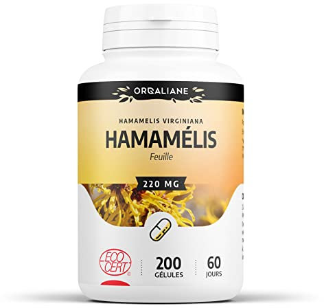 Hamamélis Biologique | 660 mg/jour | Hamamelis virginiana | Certifié Ecocert | 200 Gélules